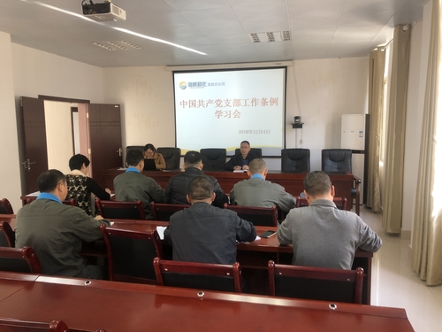 謝顏果：龍巖分公司組織開展《中國共產(chǎn)黨支部工作條例》學習會.jpg