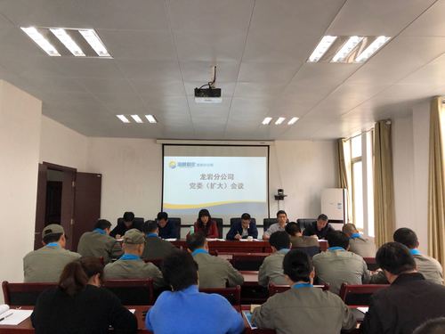 葉莉：龍巖分公司加強(qiáng)未巡先改工作的部署及落實.jpg