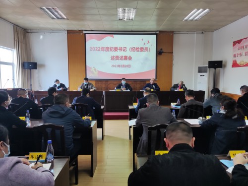 格式工廠海峽科化公司紀(jì)委召開2022年度紀(jì)委書記（紀(jì)檢委員）述責(zé)述廉會1.jpg
