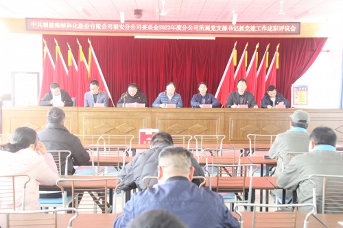 格式工廠福安胡廷淦：圖為福安分公�?黨委召開2022年度所屬黨支部書記抓基層黨建工作述職評議會 (1).jpg