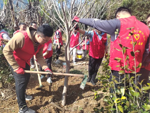 格式工廠龍巖分公�?黃曉�?植樹(shù)現(xiàn)場(chǎng)1.jpg