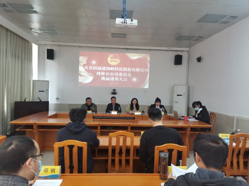 格式工廠烽林連珂瑩：海峽科化烽林分公司團委換屆選舉大會勝利召開（會議現(xiàn)場）.jpg