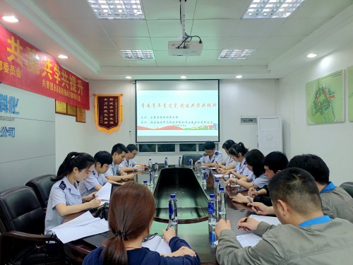 格式工廠(chǎng)稅企主題團(tuán)日共建1.jpg