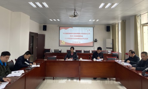 格式工廠龍巖分公司+張力燕+海峽科化黨委副書記、常務副總經(jīng)理陳志華參加指導掛鉤聯(lián)系黨支部2024年度組織生活會.jpg